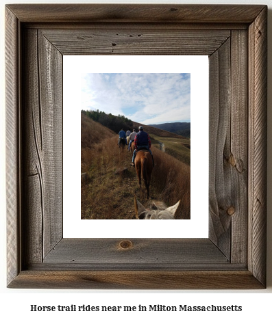 horse trail rides near me in Milton, Massachusetts